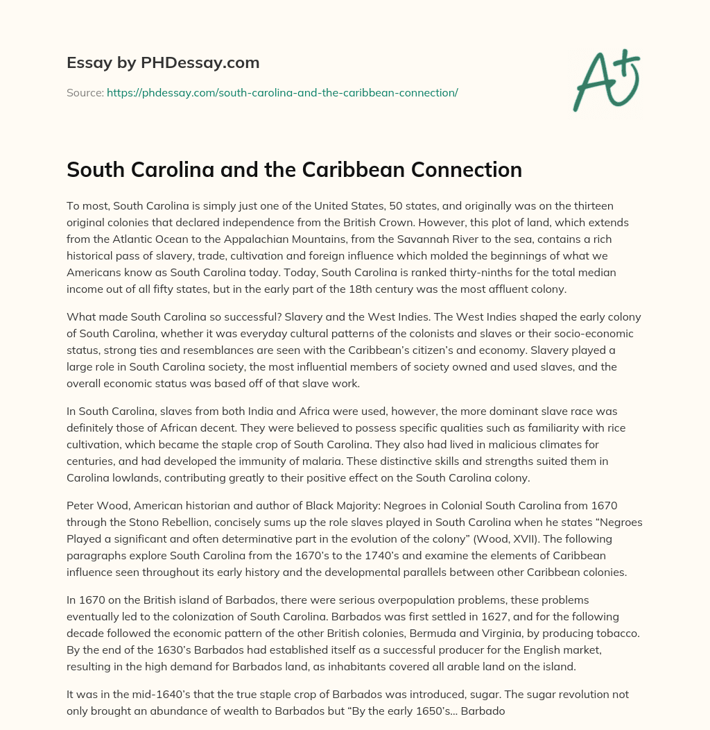 South Carolina and the Caribbean Connection essay