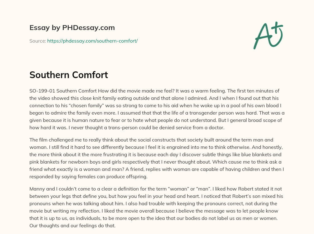Southern Comfort essay