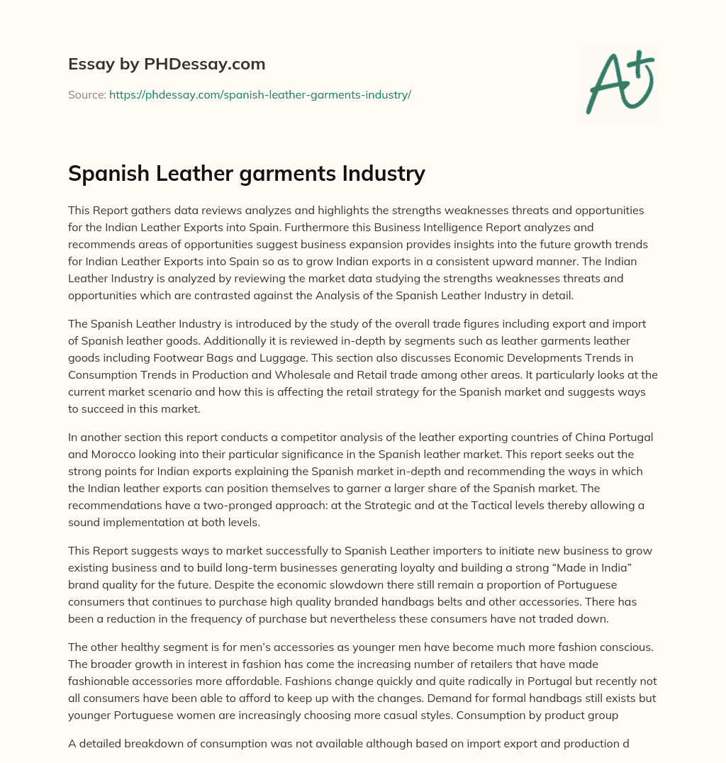 Spanish Leather garments Industry essay
