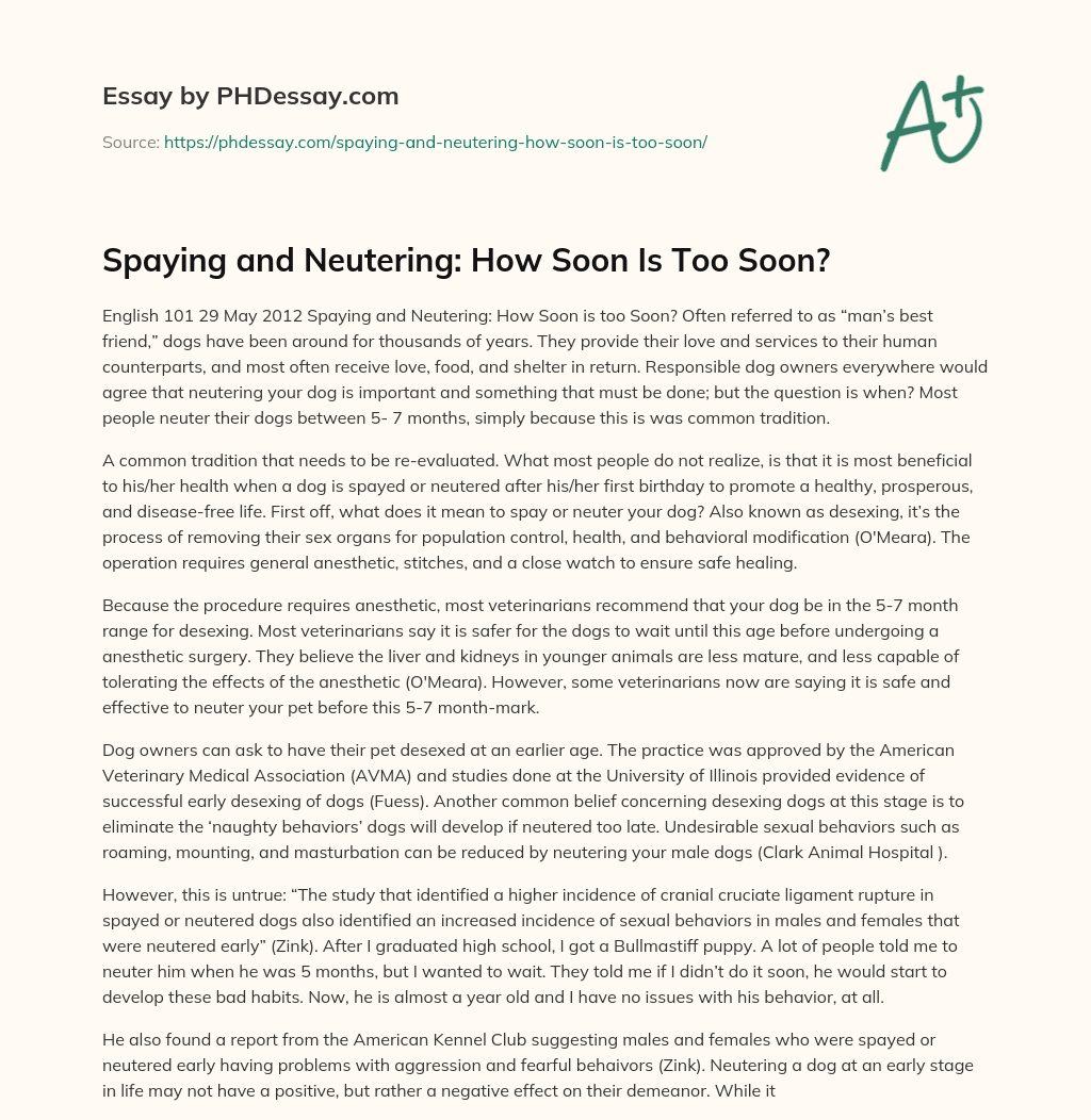 Spaying and Neutering: How Soon Is Too Soon? essay