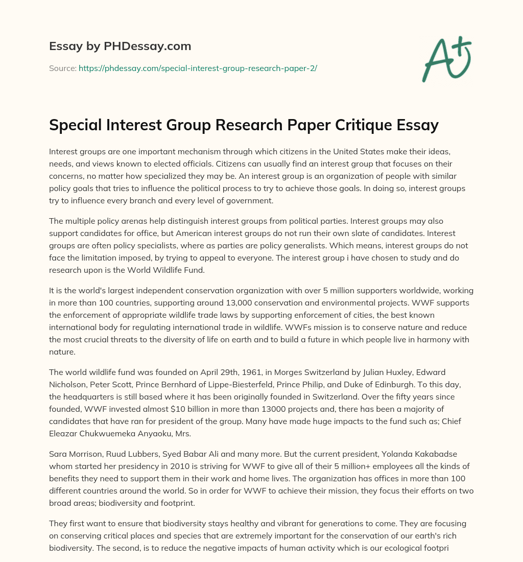 Special Interest Group Research Paper Critique Essay essay