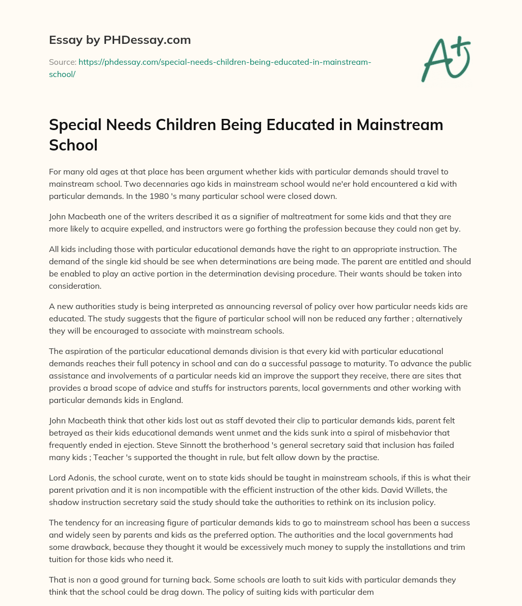 Special Needs Children Being Educated in Mainstream School essay