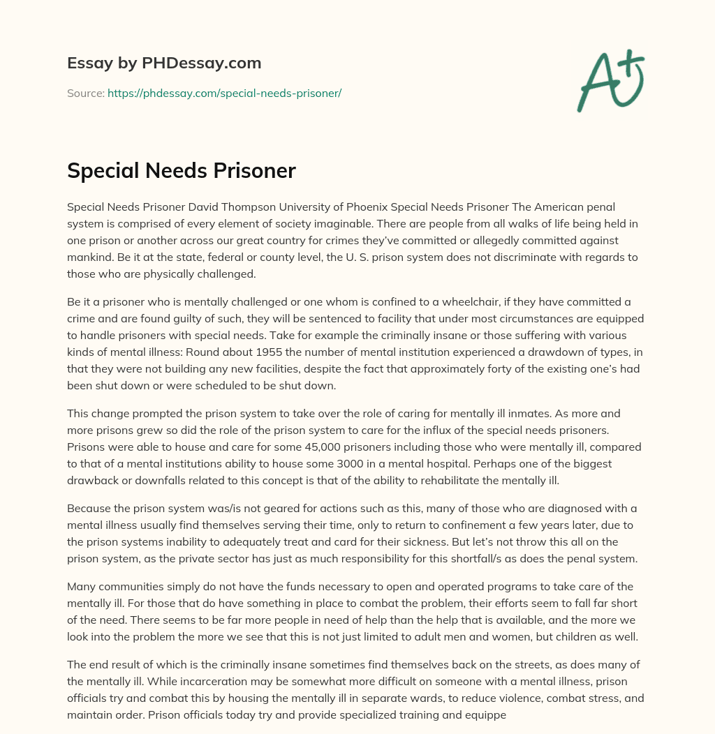 Special Needs Prisoner essay