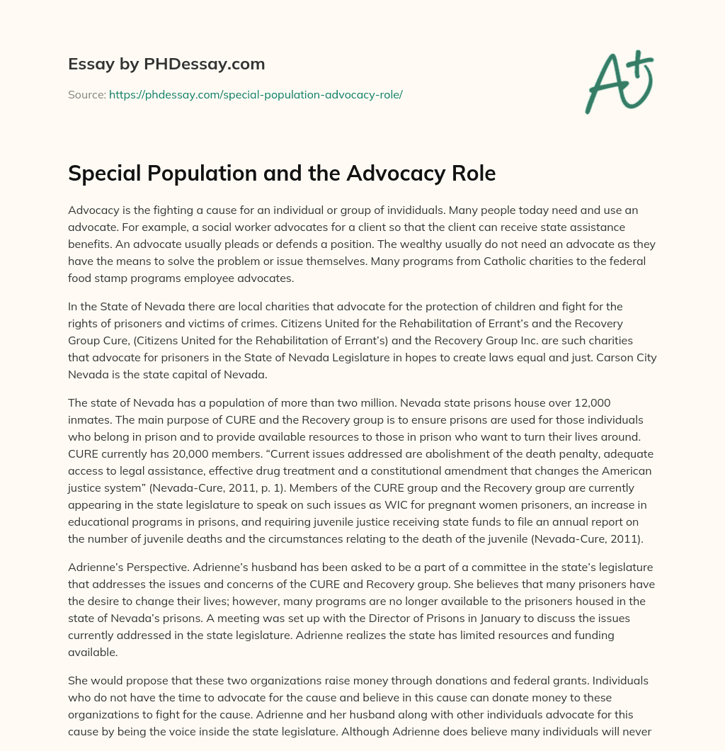 Special Population and the Advocacy Role essay