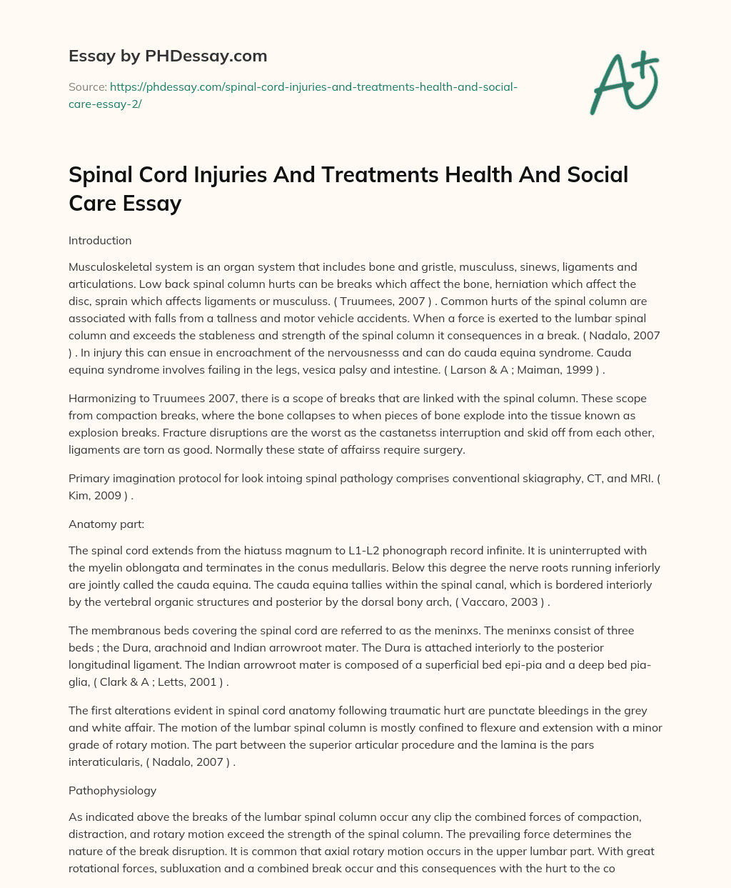 Spinal Cord Injuries And Treatments Health And Social Care Essay essay