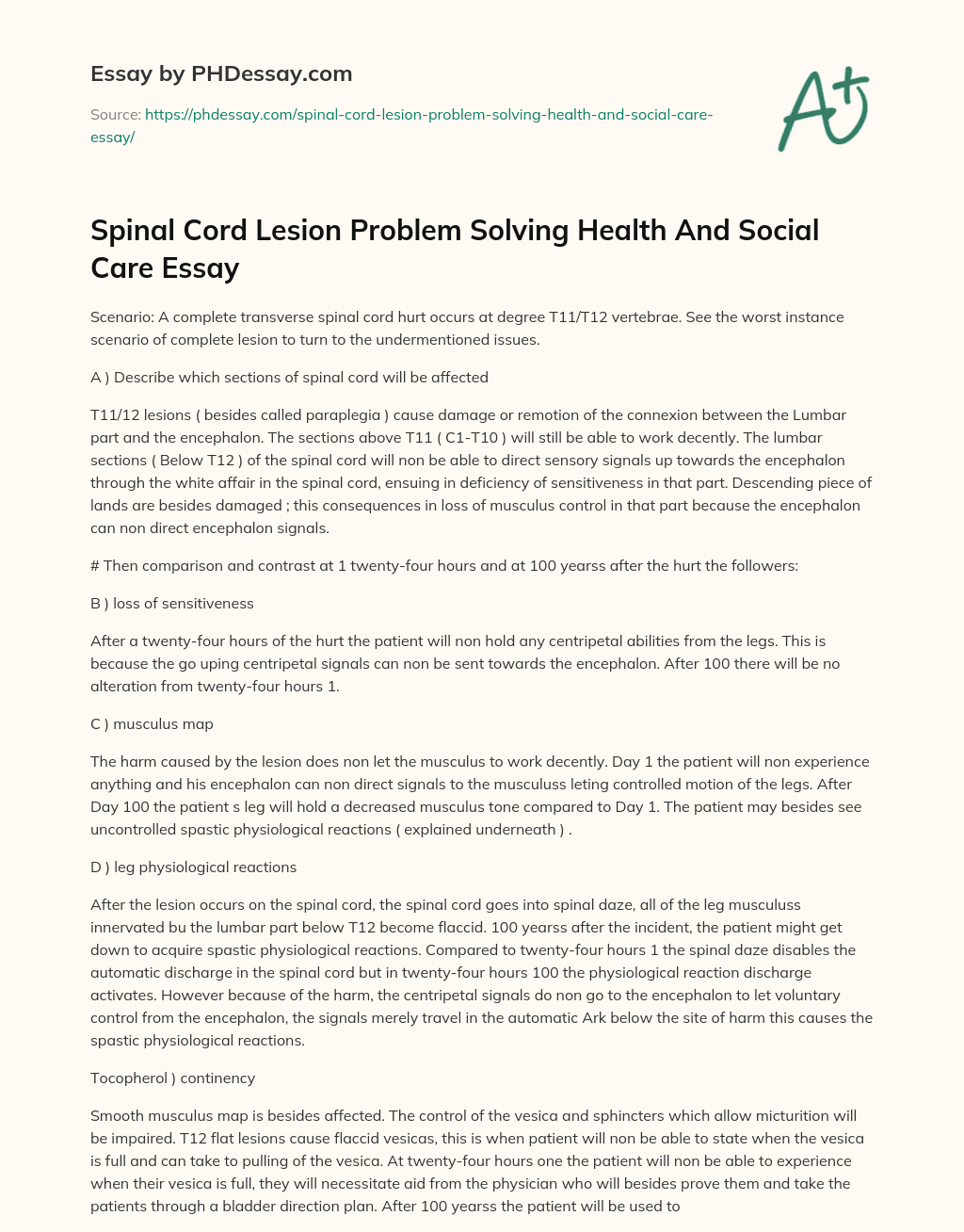 Spinal Cord Lesion Problem Solving Health And Social Care Essay essay