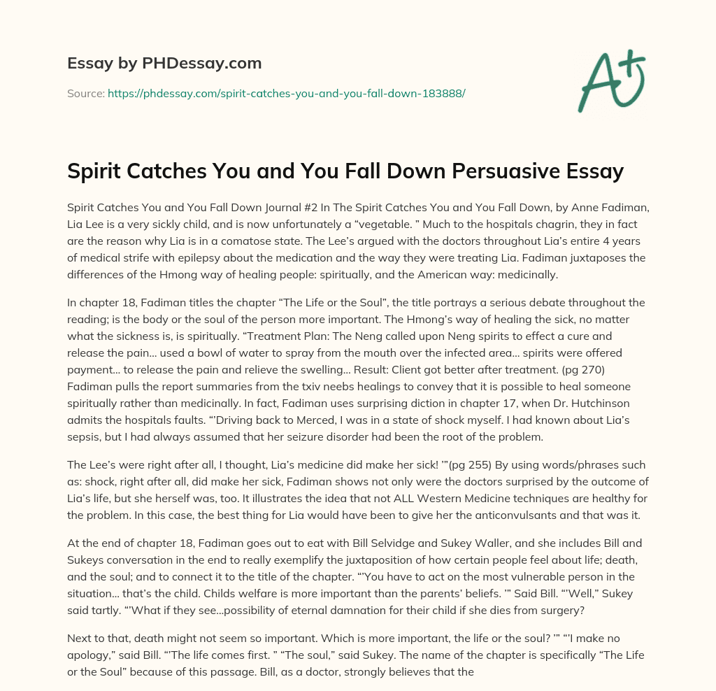 Spirit Catches You and You Fall Down Persuasive Essay essay