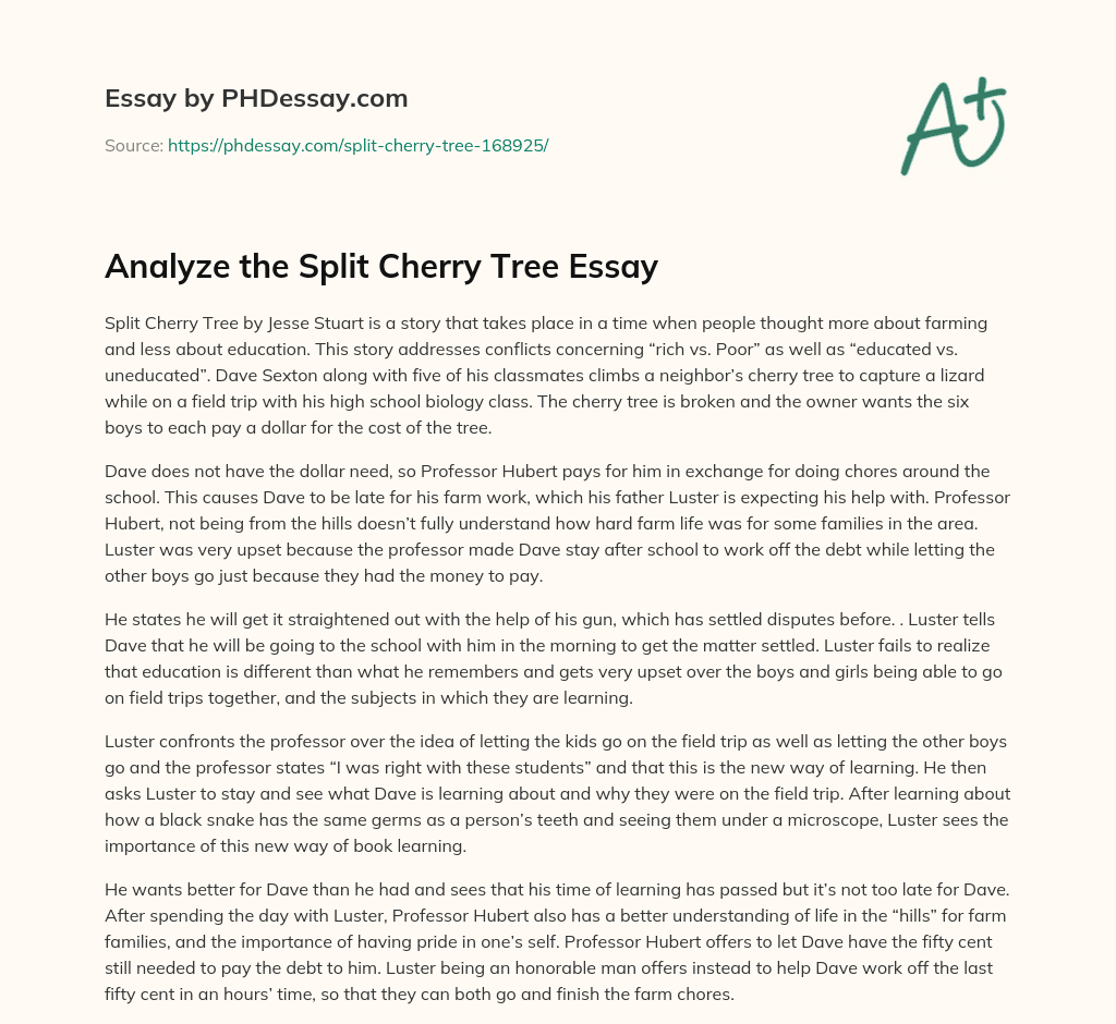 the cherry tree essay