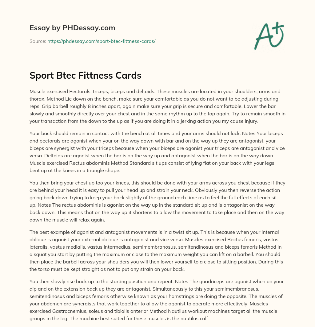 Sport Btec Fittness Cards essay