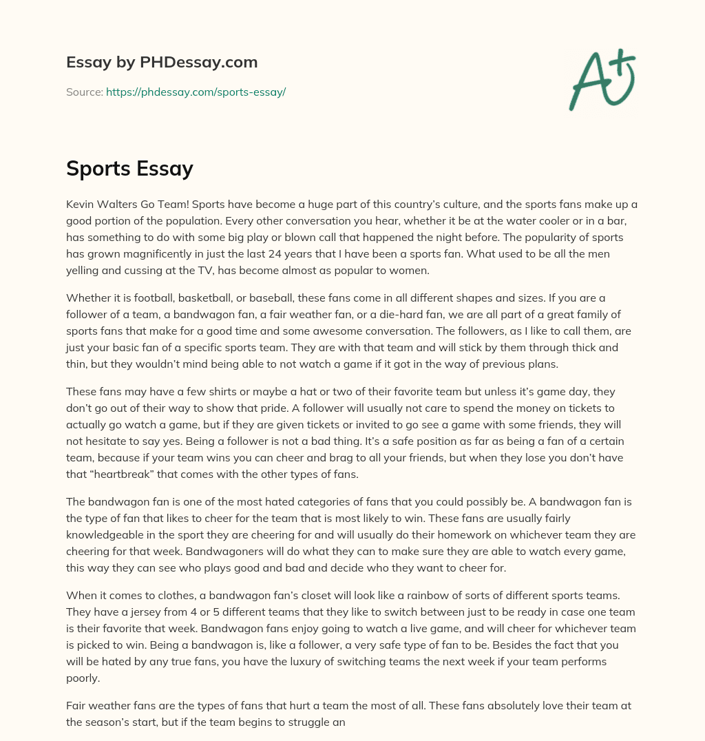 Sports Essay essay