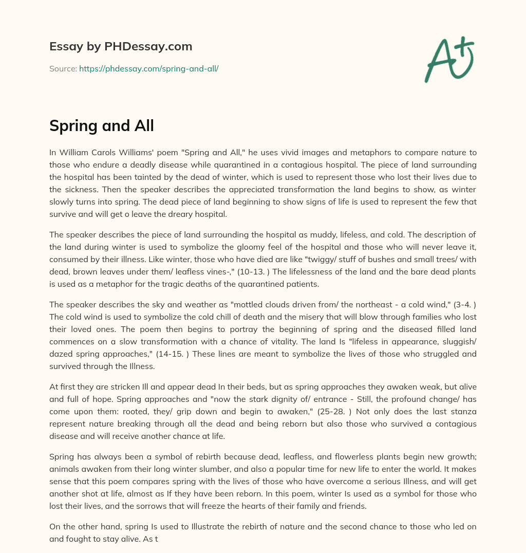 Spring and All essay