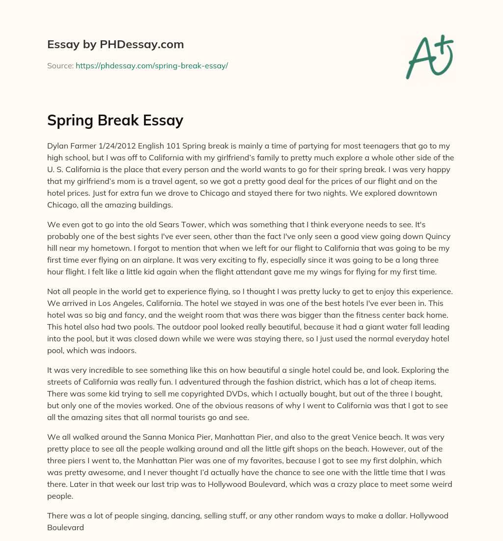 Spring Break Essay essay