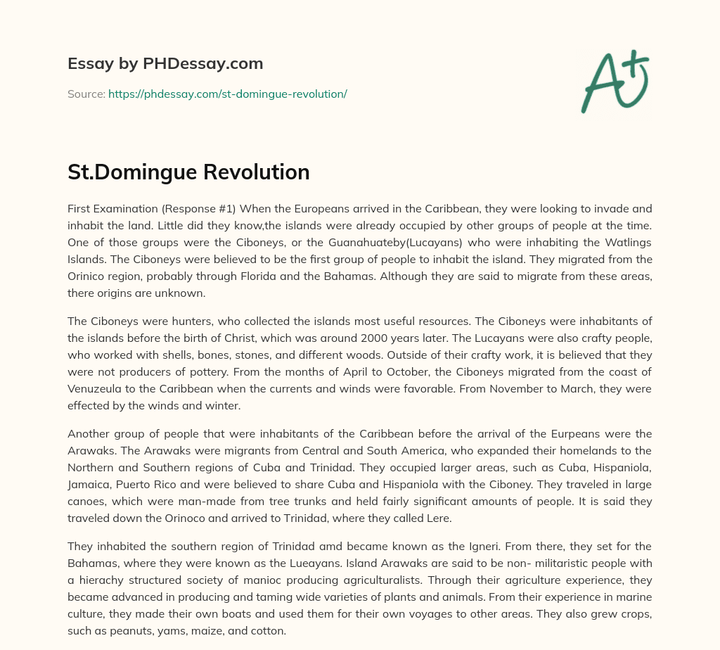 St.Domingue Revolution essay
