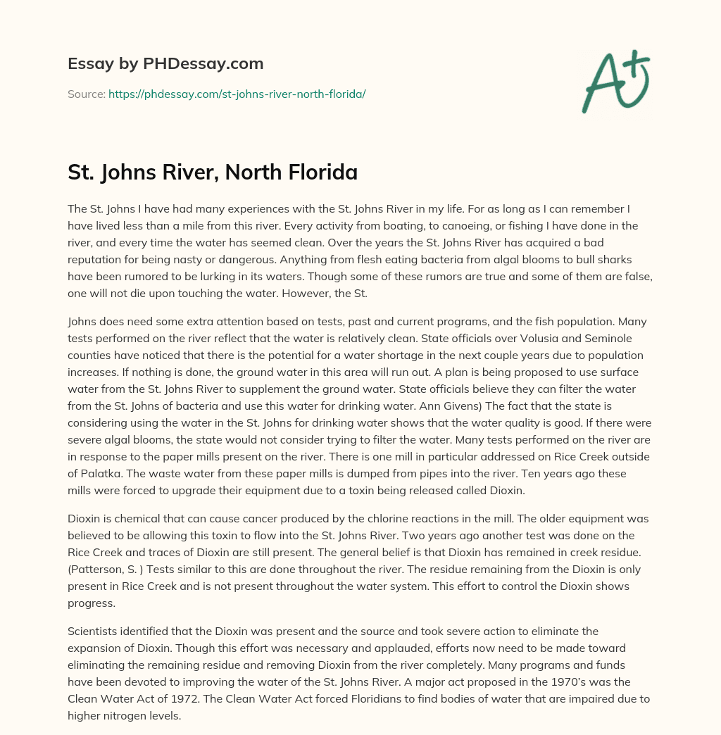 St. Johns River, North Florida essay