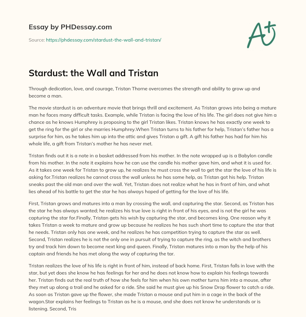 Stardust: the Wall and Tristan essay