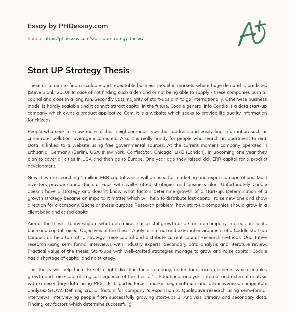 Start UP Strategy Thesis essay
