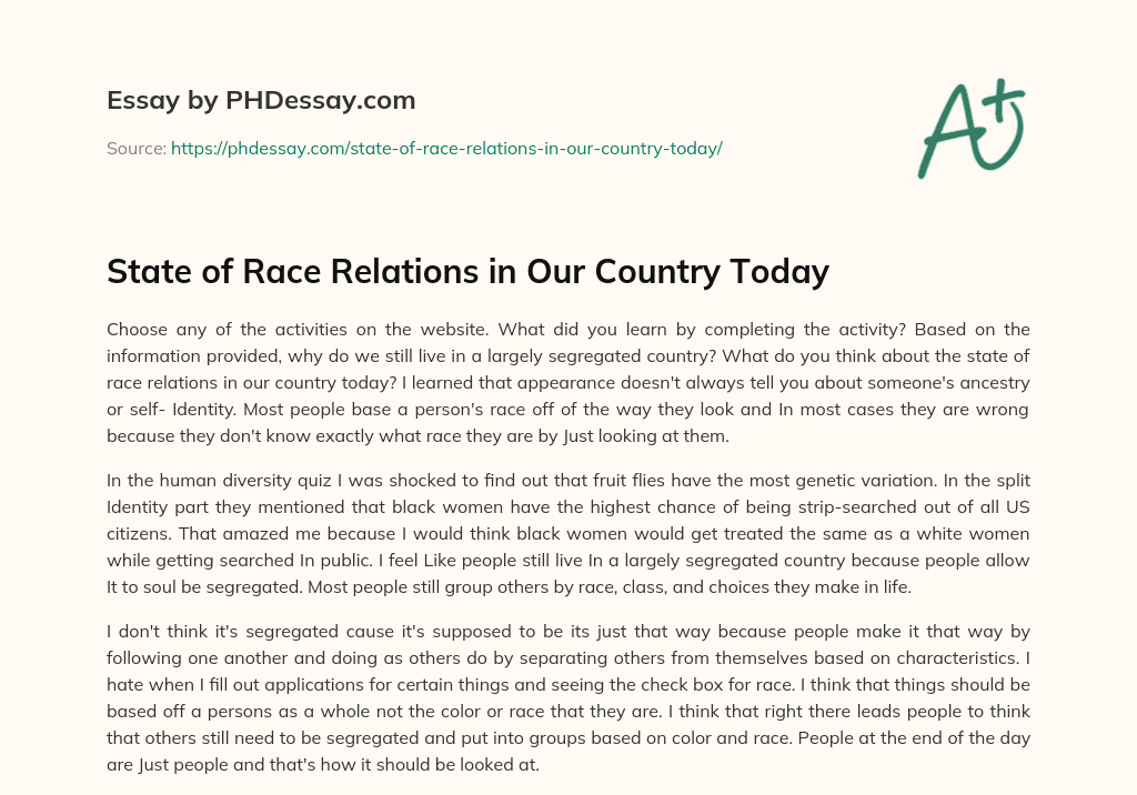 State of Race Relations in Our Country Today essay
