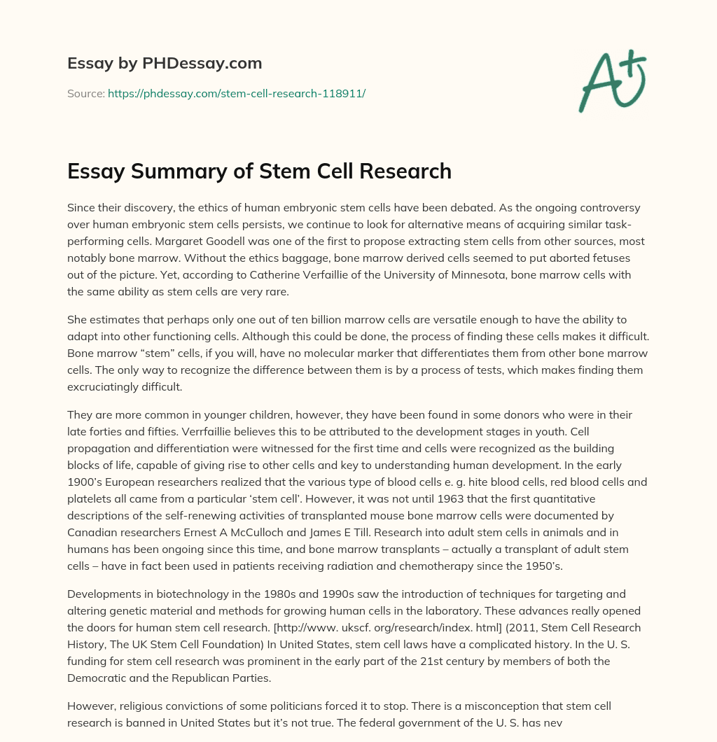 stem cell research pros essay