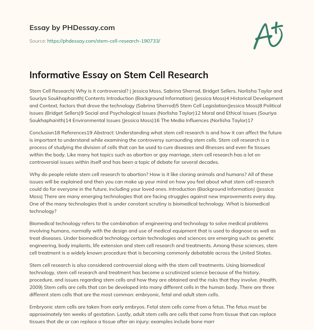 essay about stem cells