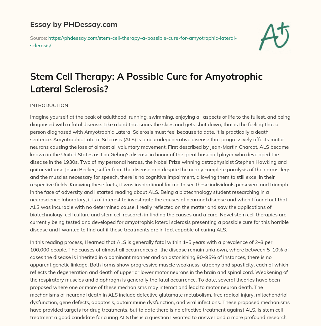 Stem Cell Therapy: A Possible Cure for Amyotrophic Lateral Sclerosis? essay