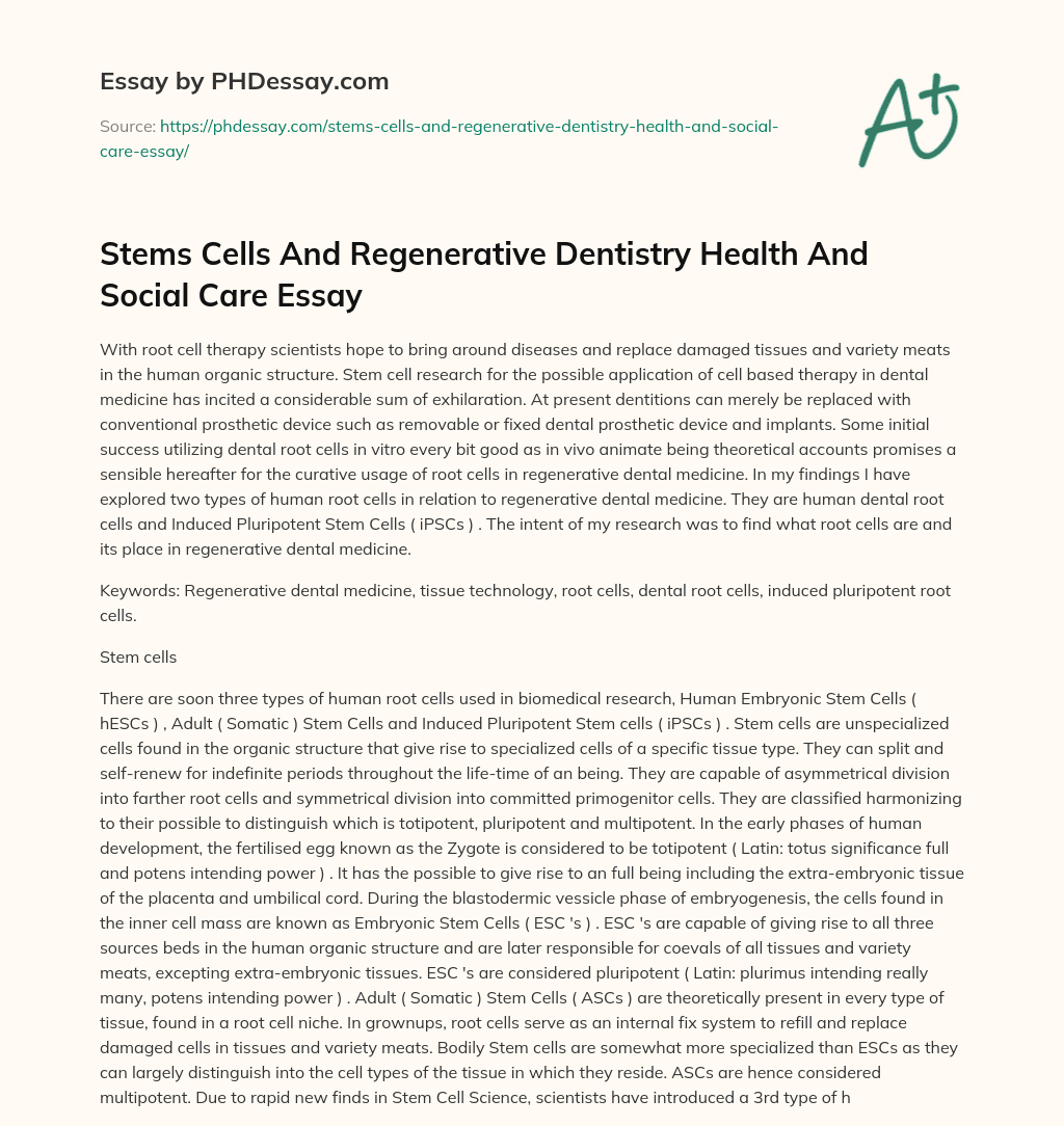 Stems Cells And Regenerative Dentistry Health And Social Care Essay essay