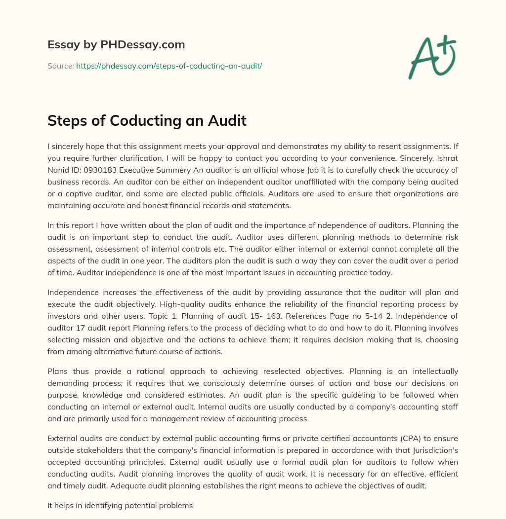 Steps of Coducting an Audit essay