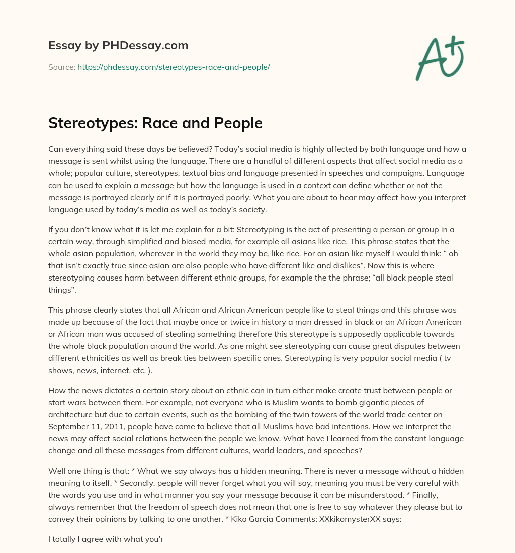 Stereotypes: Race and People essay