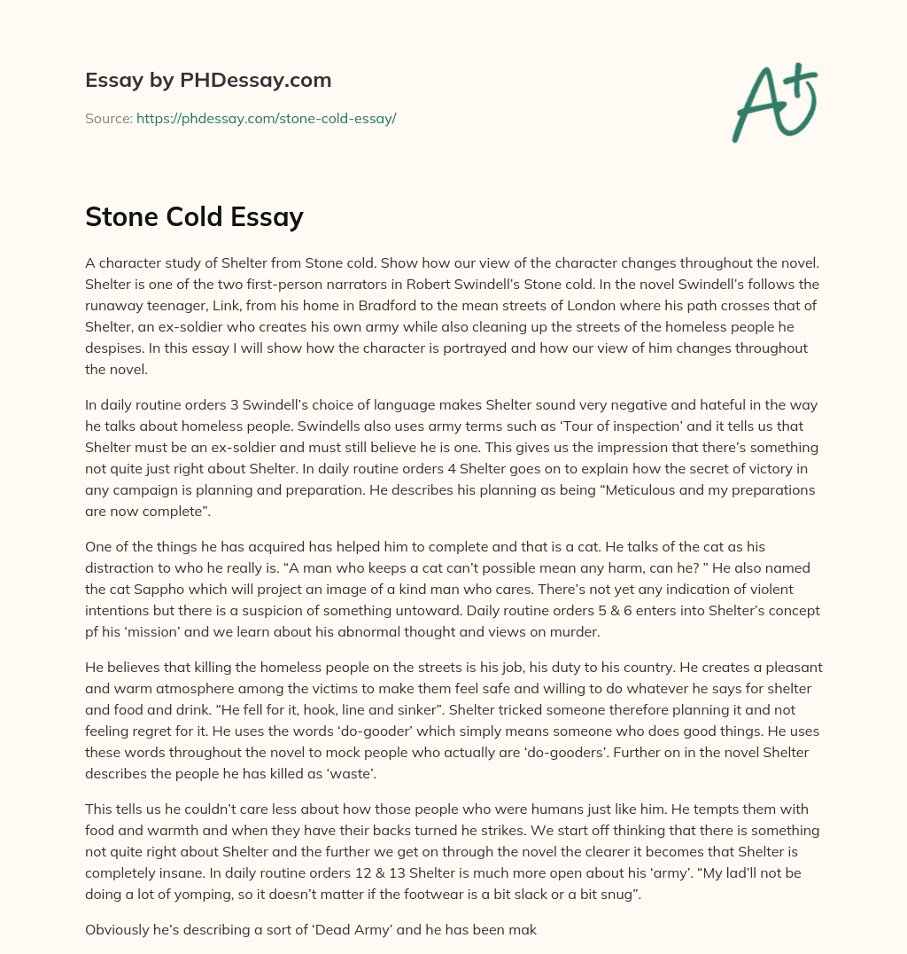 Stone Cold Essay essay