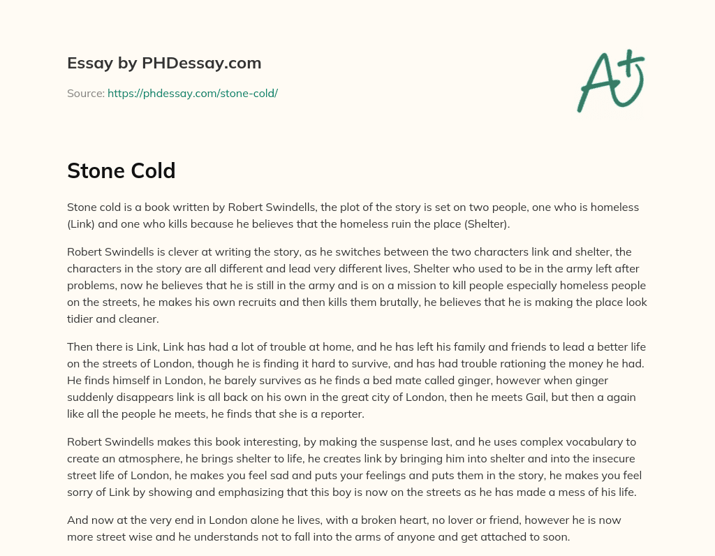 Stone Cold: A Story of Homelessness, Murder, and Survival in London essay