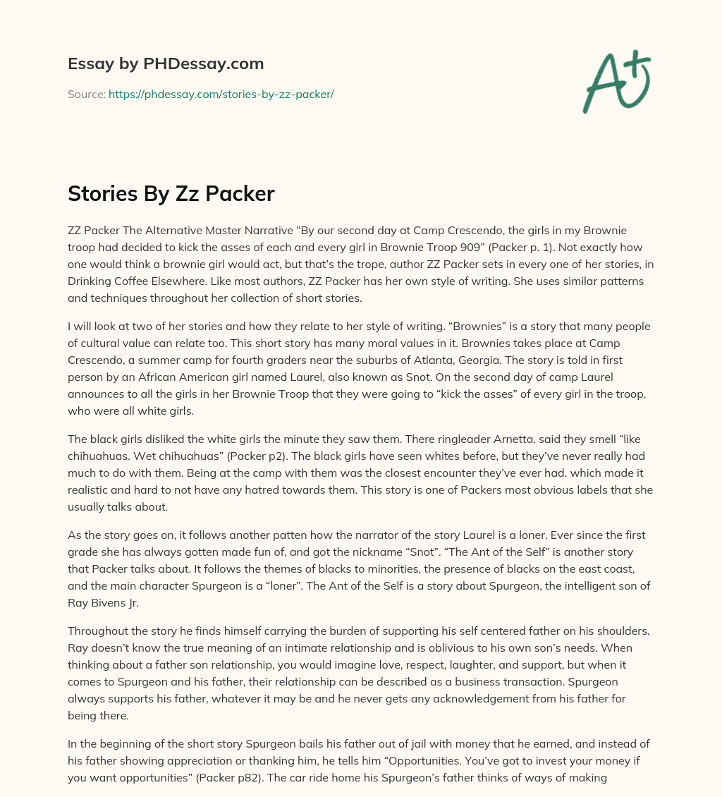 Stories By Zz Packer essay