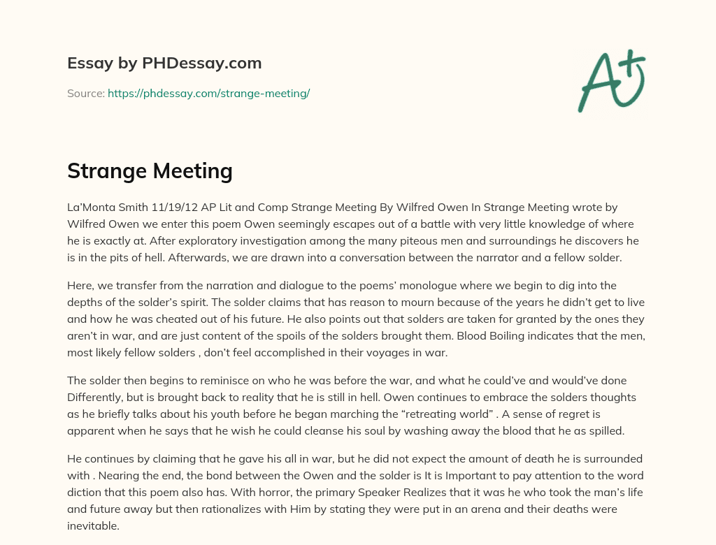 a strange meeting essay