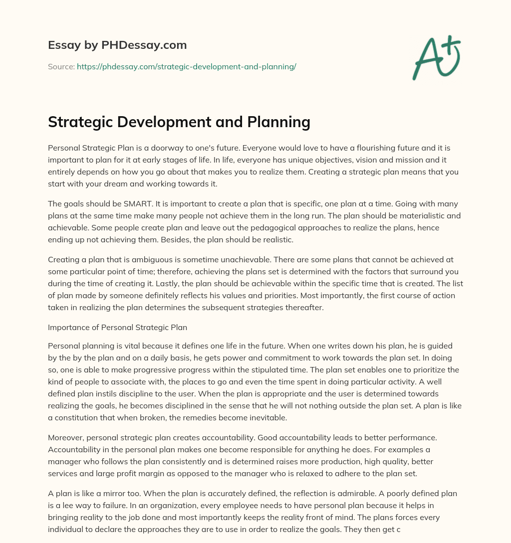 Strategic Development and Planning essay