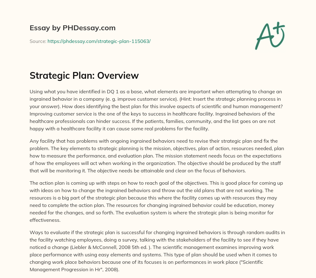 Strategic Plan: Overview essay