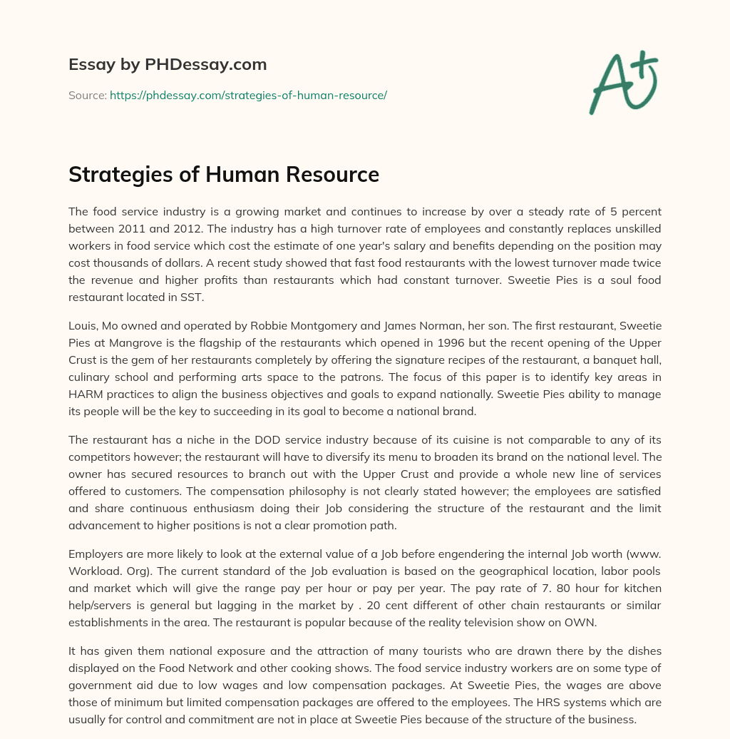 Strategies of Human Resource essay