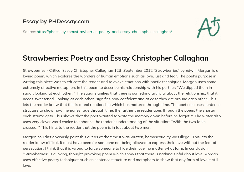 Strawberries: Poetry and Essay Christopher Callaghan essay