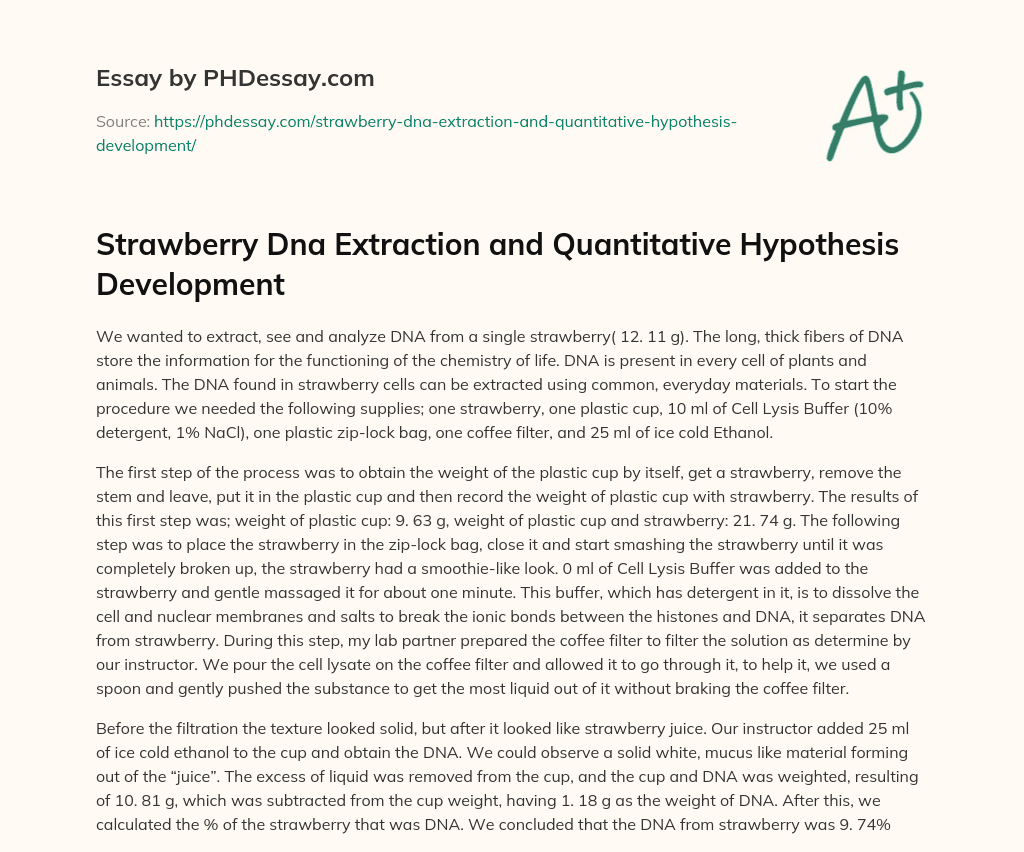 essay about dna extraction