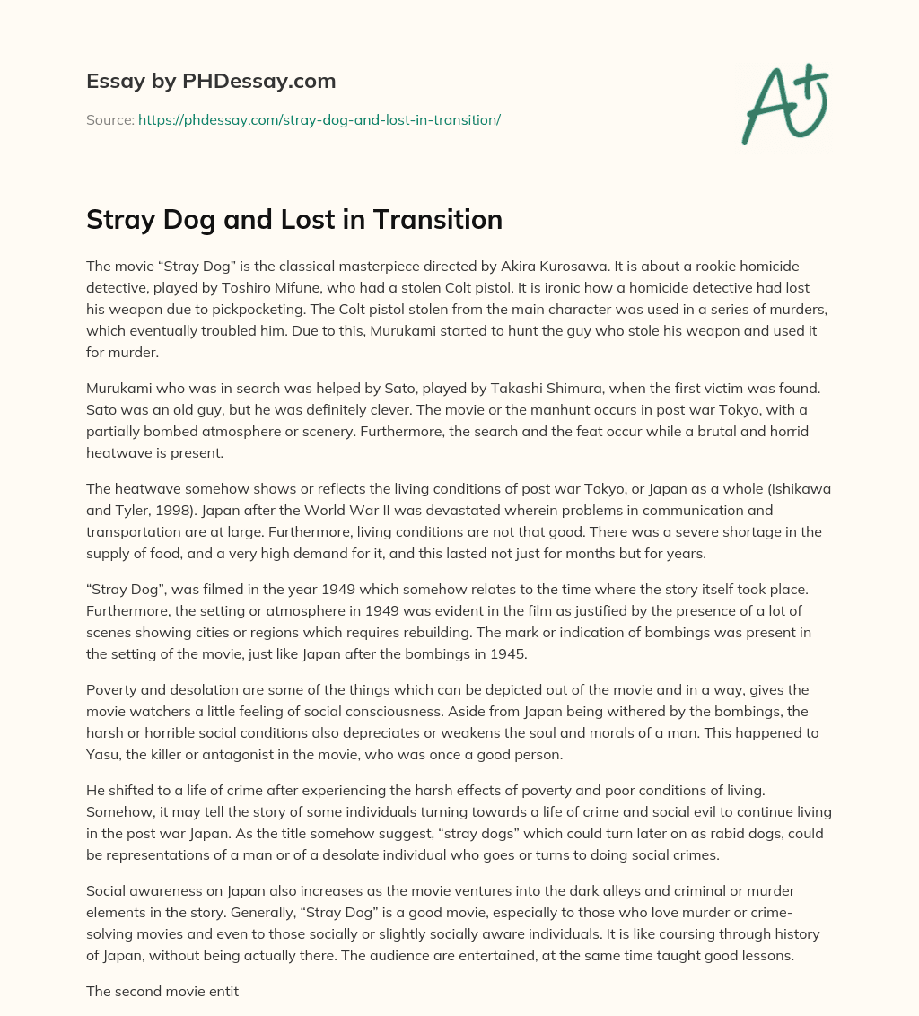 essay on stray dogs