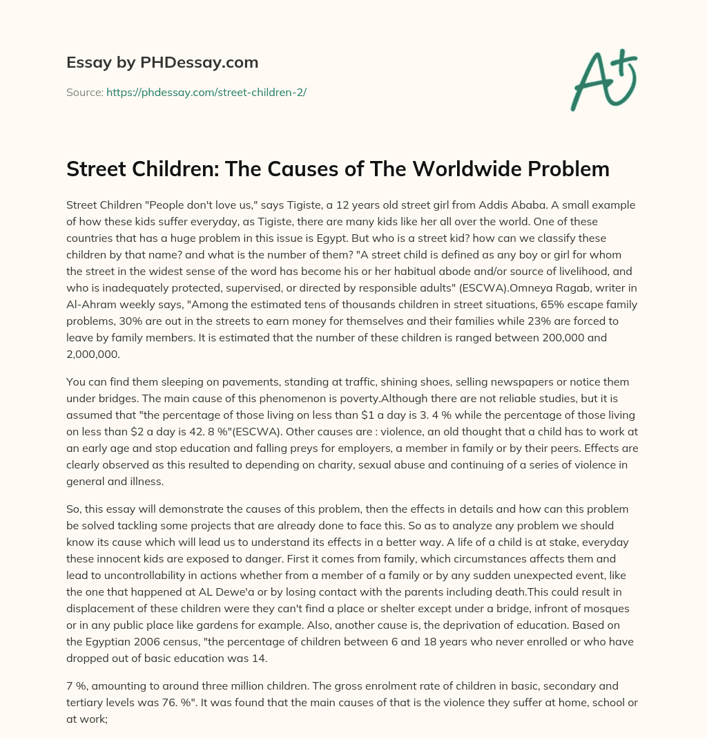 Street Children: The Causes of The Worldwide Problem essay