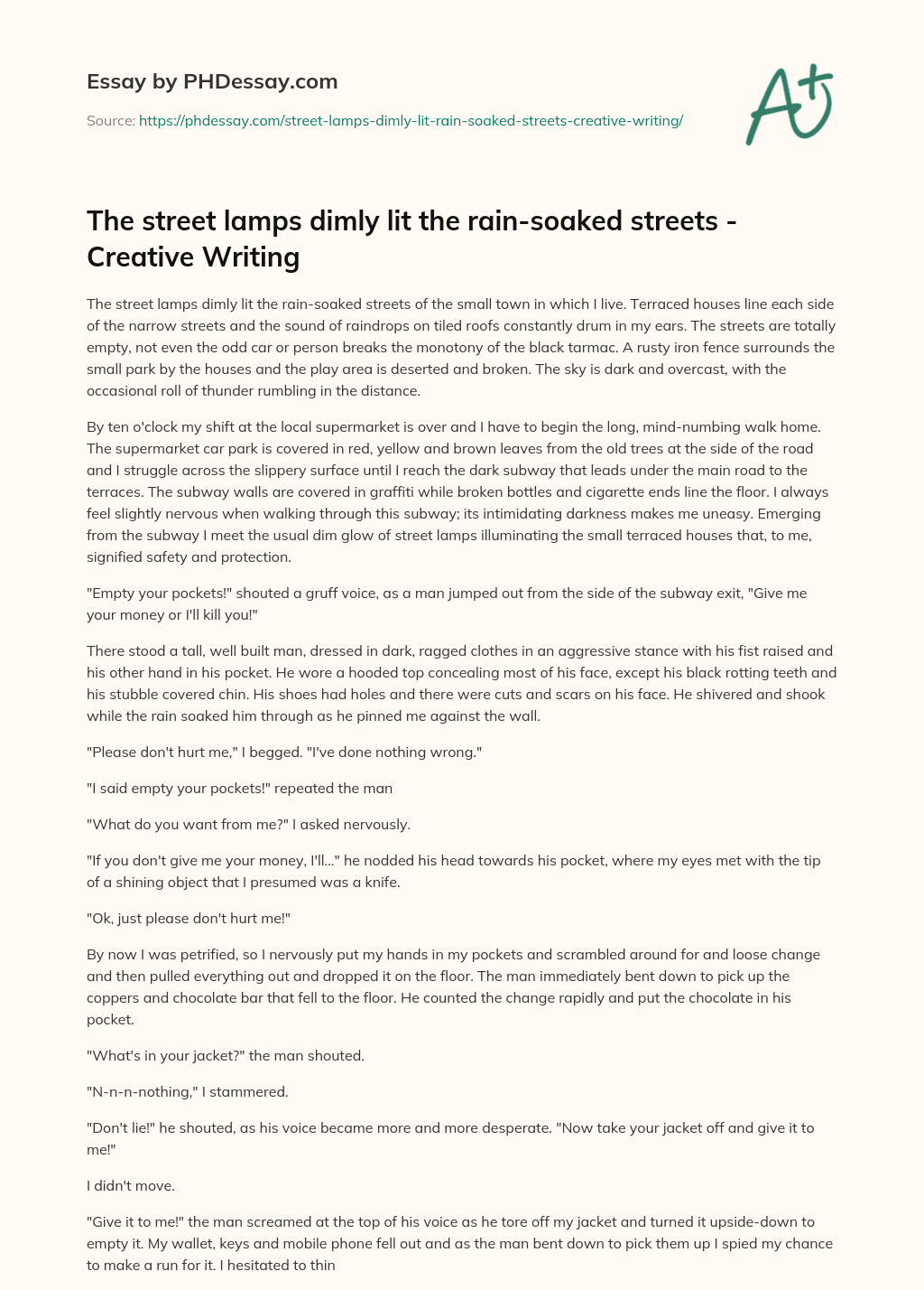 The street lamps dimly lit the rain-soaked streets – Creative Writing essay
