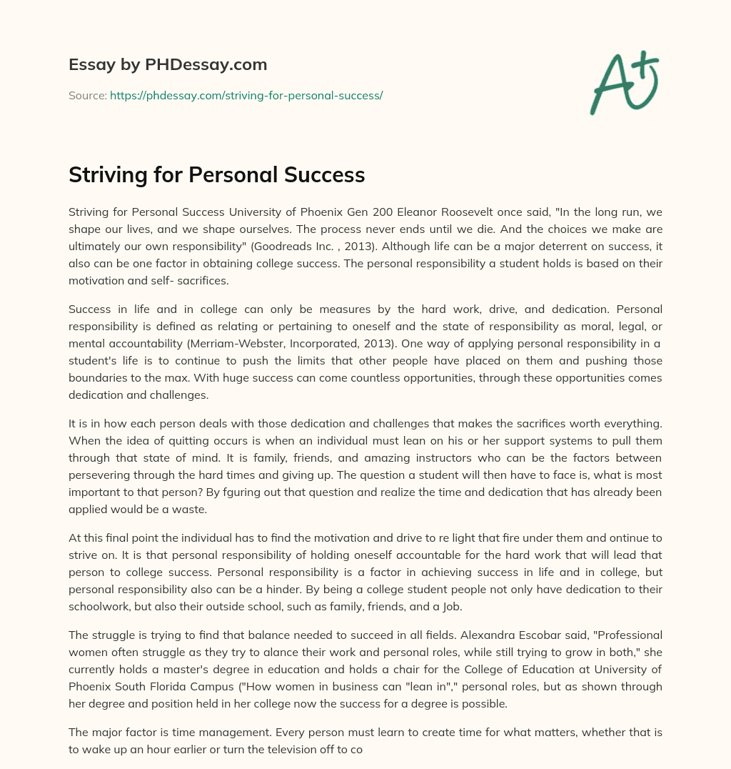 Striving for Personal Success essay