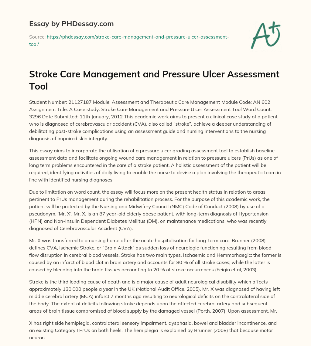 Stroke Care Management and Pressure Ulcer Assessment Tool essay