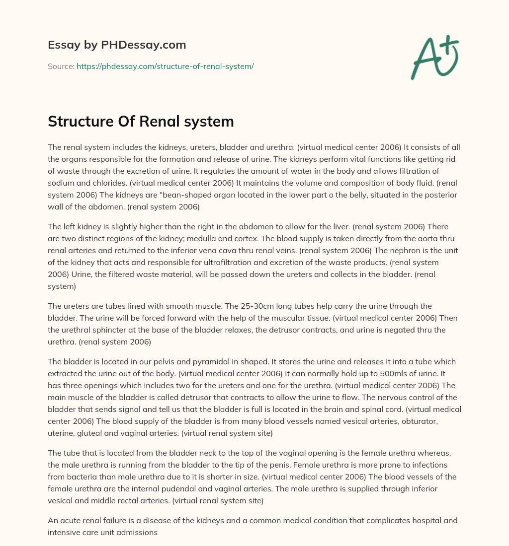 Structure Of Renal system essay
