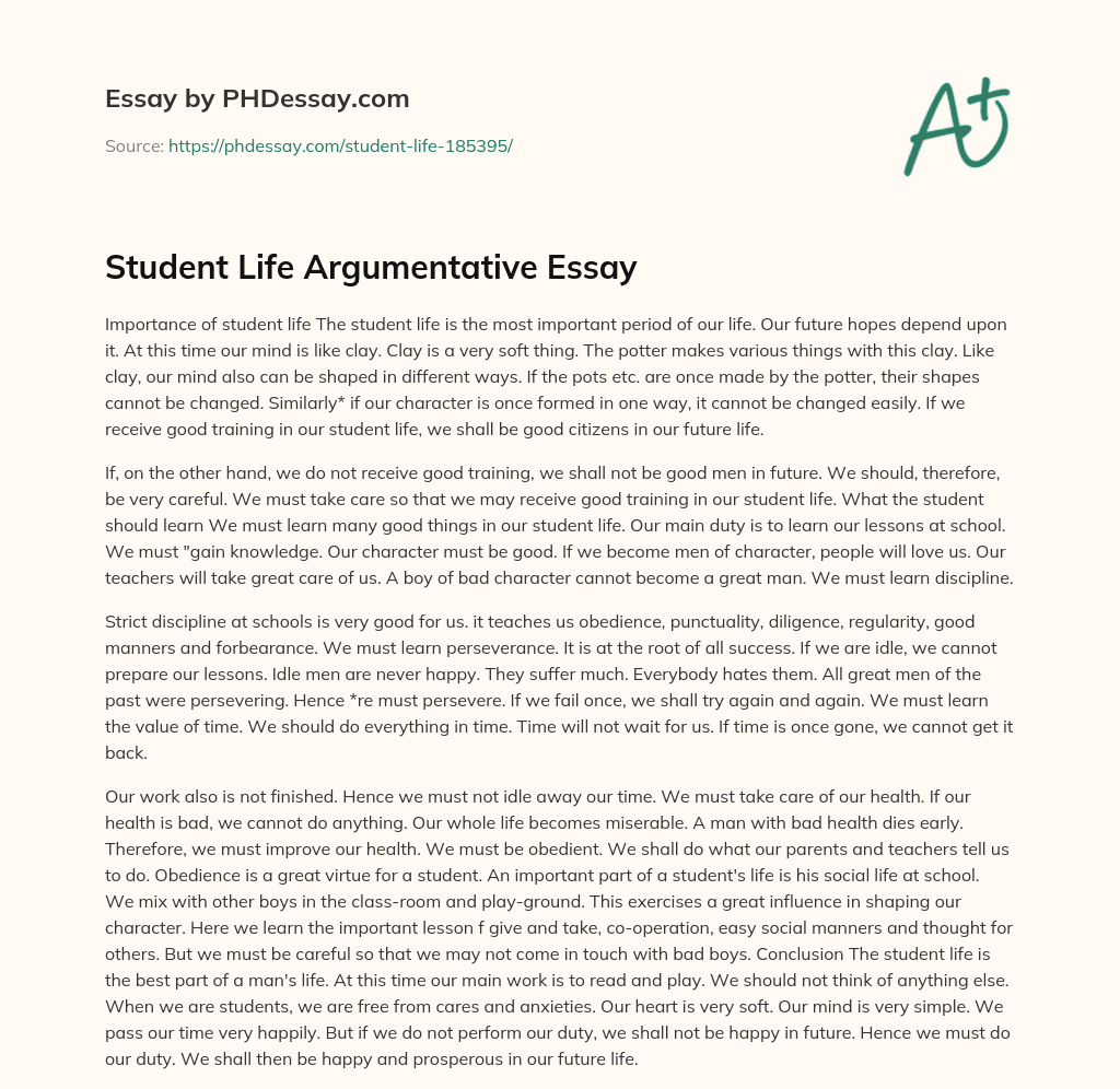 Student Life Argumentative Essay essay