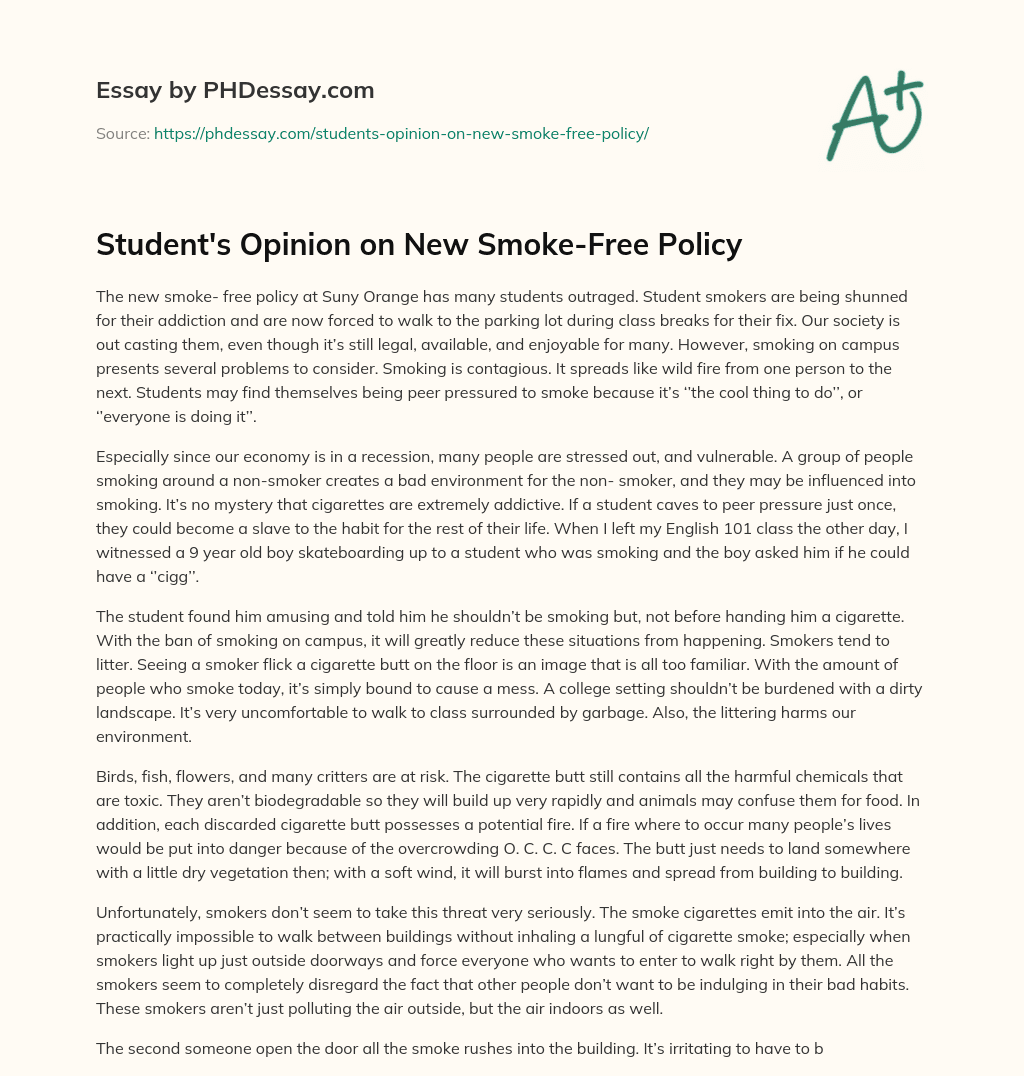 Student’s Opinion on New Smoke-Free Policy essay
