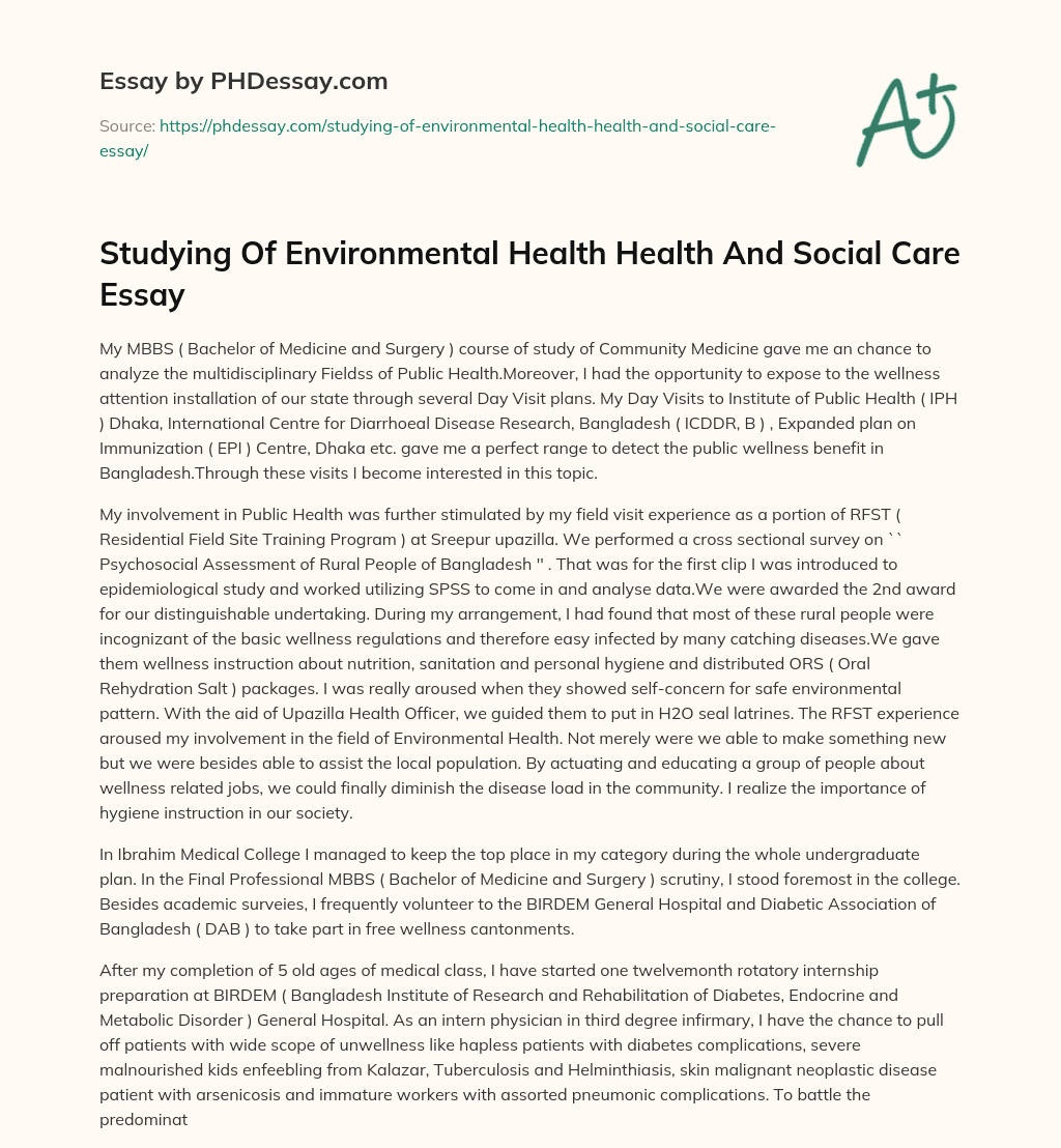 Studying Of Environmental Health Health And Social Care Essay essay