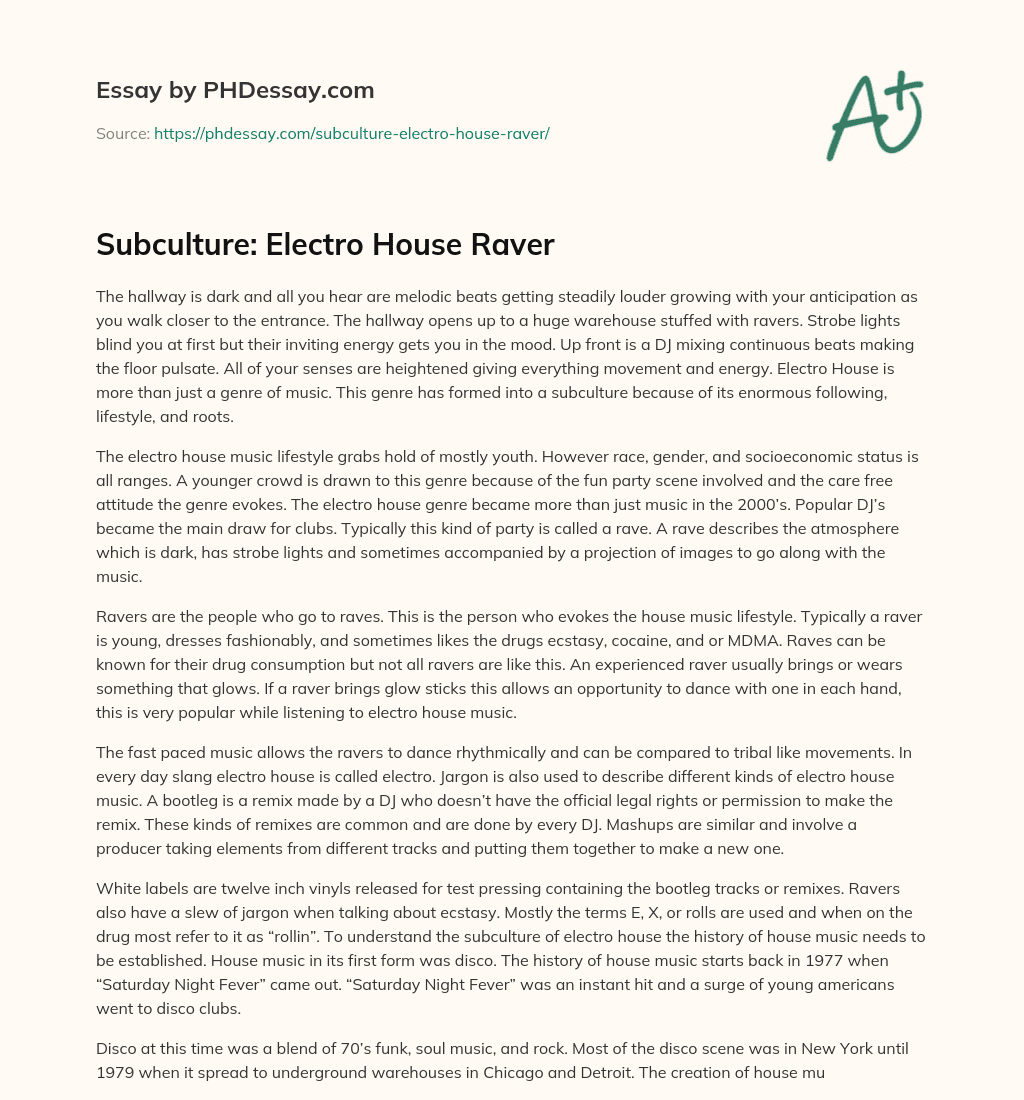 Subculture: Electro House Raver essay