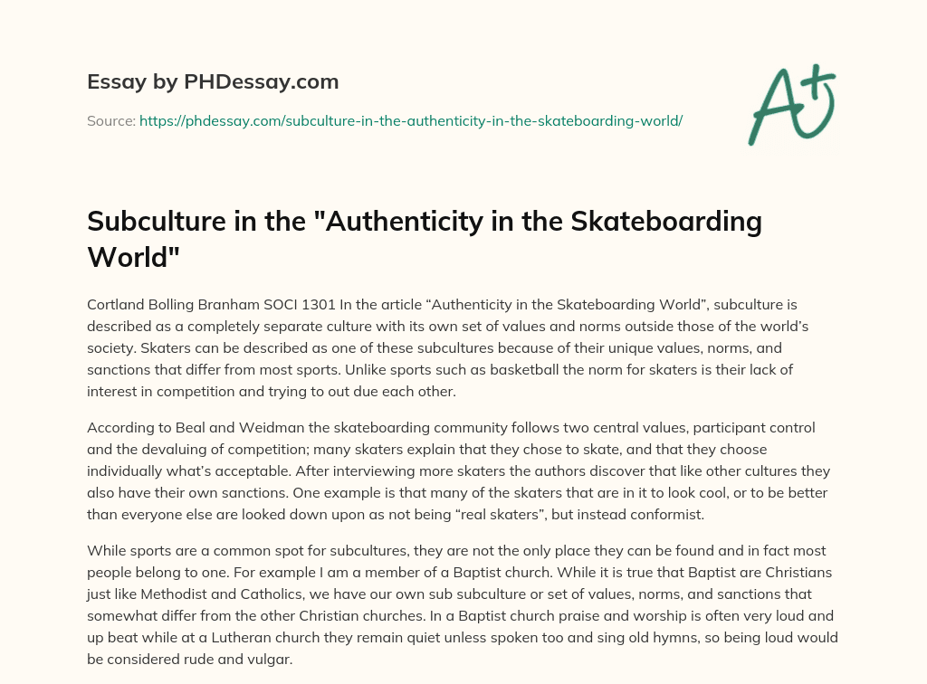 Subculture in the “Authenticity in the Skateboarding World” essay