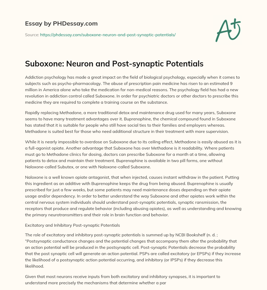 Suboxone: Neuron and Post-synaptic Potentials essay