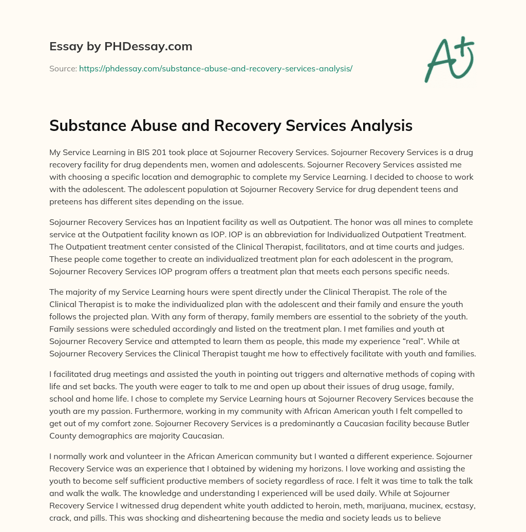 Substance Abuse and Recovery Services Analysis essay