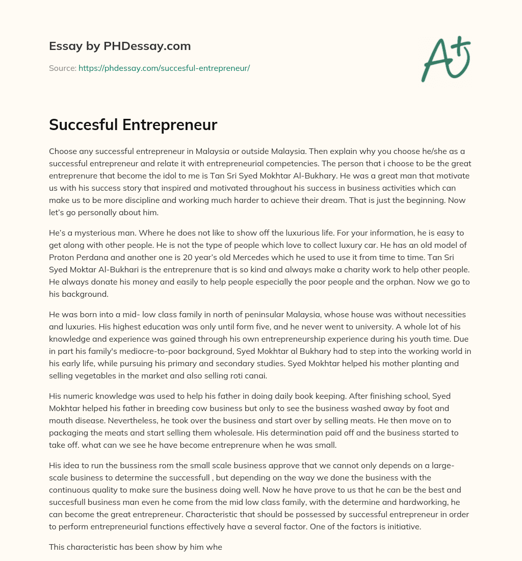 Succesful Entrepreneur essay